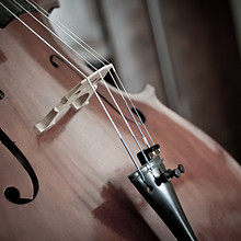Cello