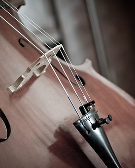 violoncelle 1