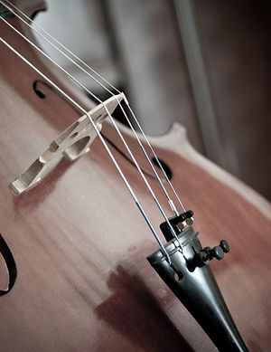 Close-Up Of Cello