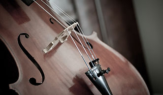 violoncelle 1
