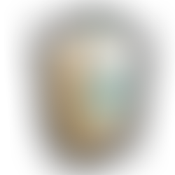 21 Litre Organic Aloe Vera Extract for Animal and Equine Health