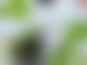 Why our Kakadu Glow Brightening Serum Is More Valuable Than You Think