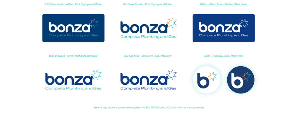 Logo Variations