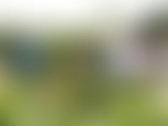 Ewon tinjau projek fertigasi cili di Kg Kiau Nuluh