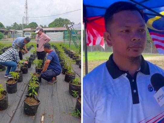 Usahawan Lada Tingkatkan Ekonomi Komuniti Melalui Bantuan Sejati MADANI