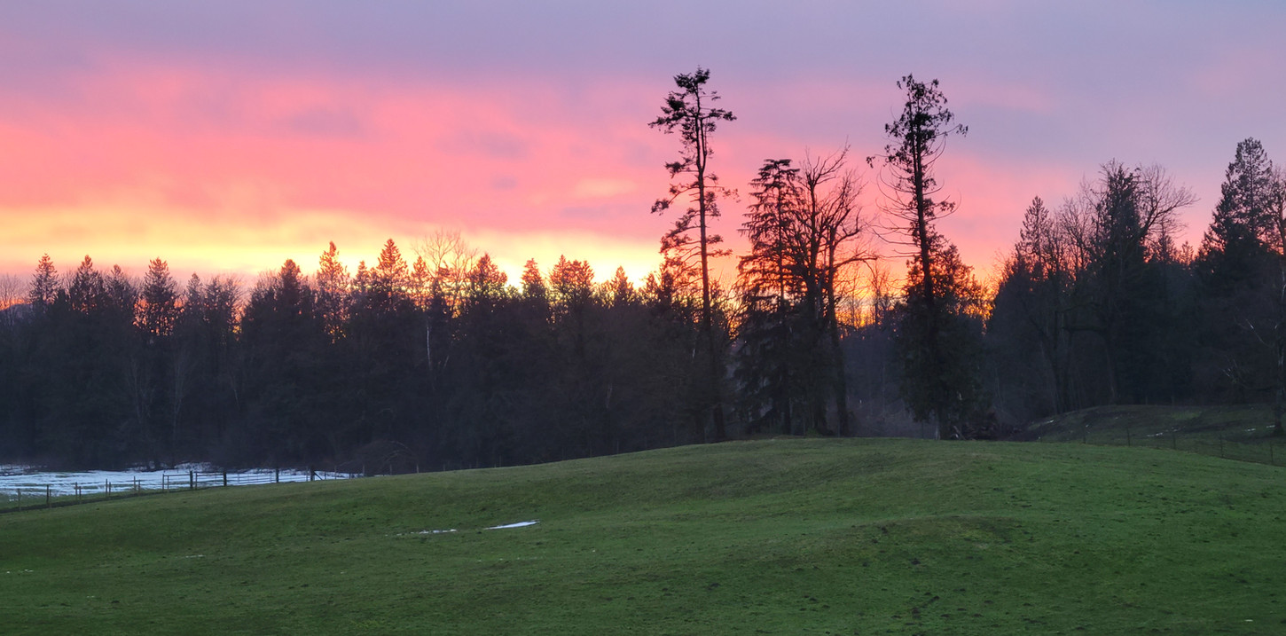 Grass Fed Beef Heritage Pork FarmFresh Eggs VancouverKelowna