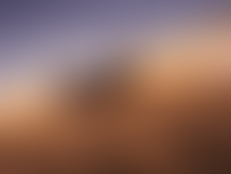 Flight Scheduling Software