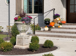 Fall Harvest Decor