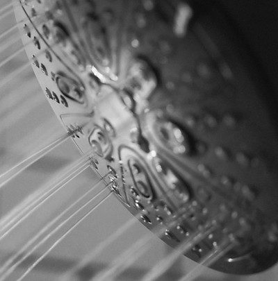 Close-up of water spraying from a shower head.