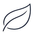 Leaf icon representing freshness and complete odour control achieved through proper post-autopsy care.