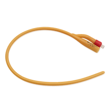 Foley catheter