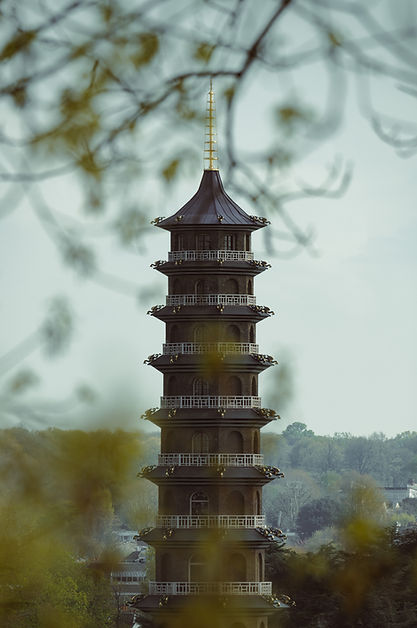 DSC_5052.JPG