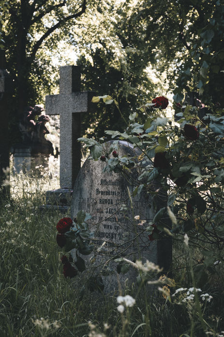 DSC_0363.JPG
