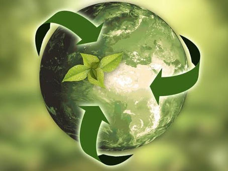 Importancia de los Productos ecológicos, ¿por qué usarlos?