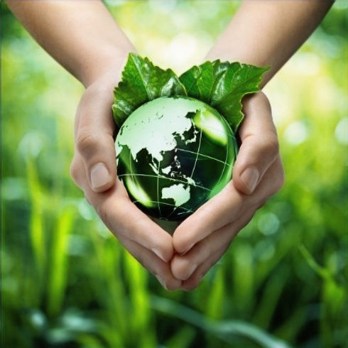 categorias vr 2 15_png (1)_edited.jpg