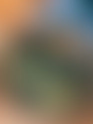 How the Mediterranean Diet (Paired with Protein) Supports Hormone Health for Women