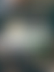 What Gut Health Actually Is 