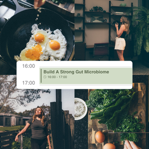 What Gut Health Actually Is