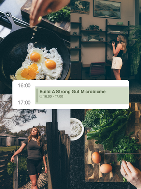 What Gut Health Actually Is 