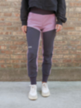 Pro Dog Training Joggers