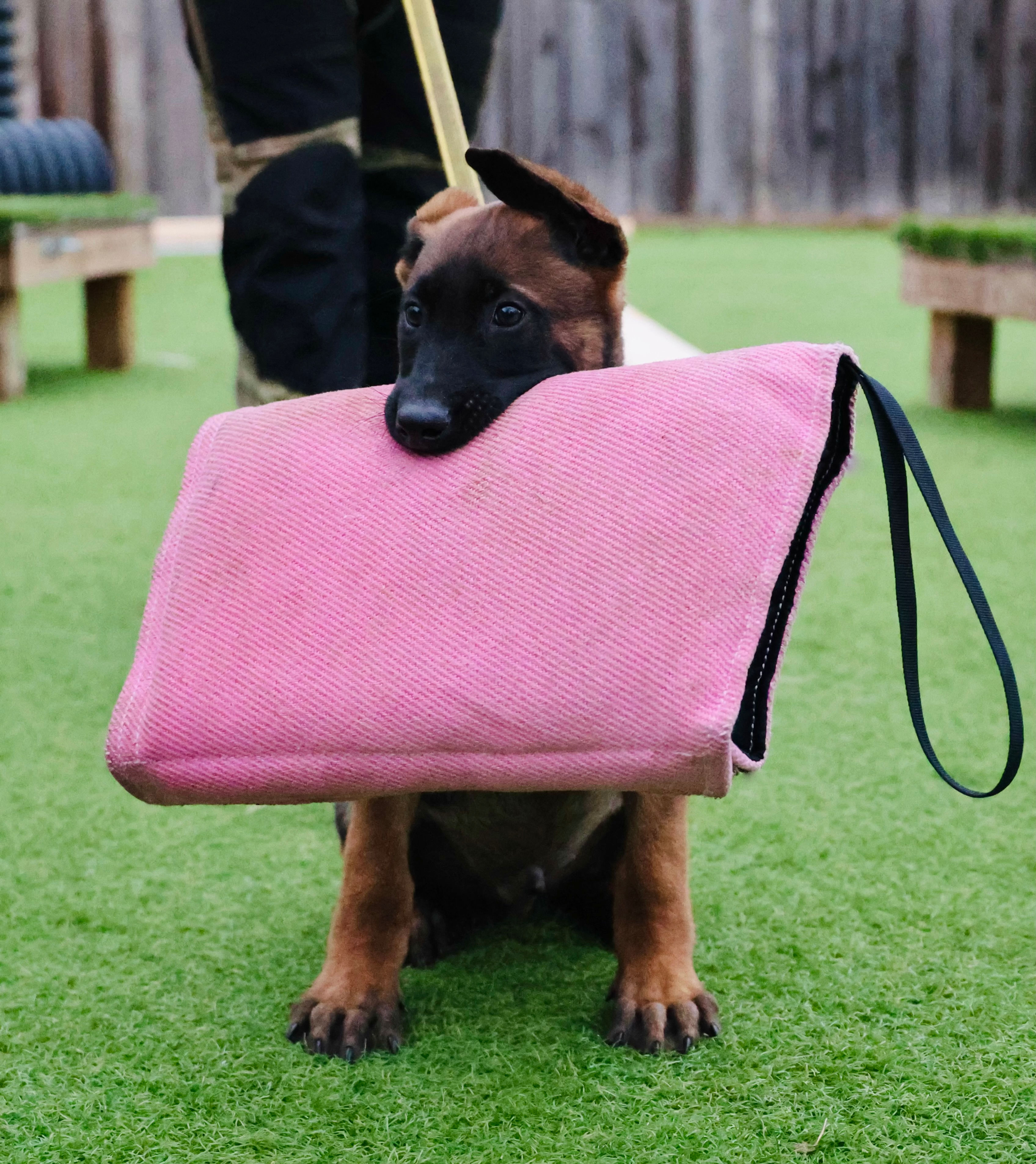 Grip Start - Puppy Level 1 Bite Sleeve