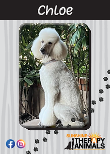 Molly and Chloe Trading Cards_Page_3.png
