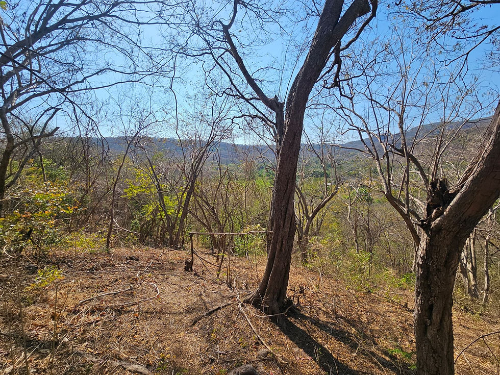 IMG-185