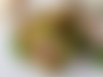 The Perfect Falafel Recipe!