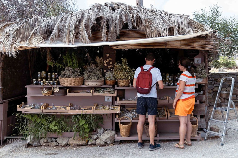 Herbs shack