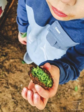Falafel is a great snack for Kids