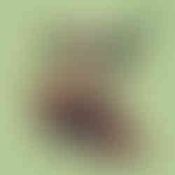 baby activity books for trains