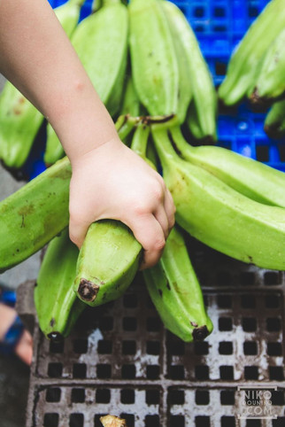 Caribbean Bananas photos