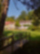 View from the bridge.jpg