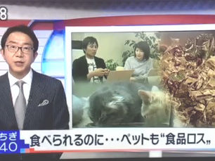 【メディア】NHKとちぎ640でcocoroが紹介されました