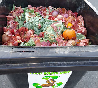 full wheelie bin.jpg