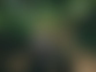 Seafret Announce 2026 UK Headline Tour