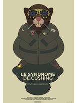 Le Syndrome de Cushing