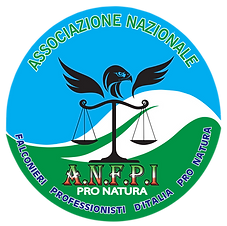 Logo A.N.F.P.png