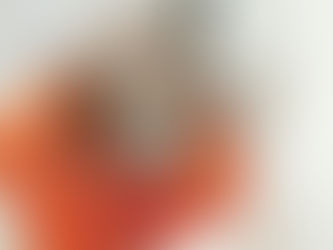 The Role of Warranties and Insurance in Air Conditioner Repairs