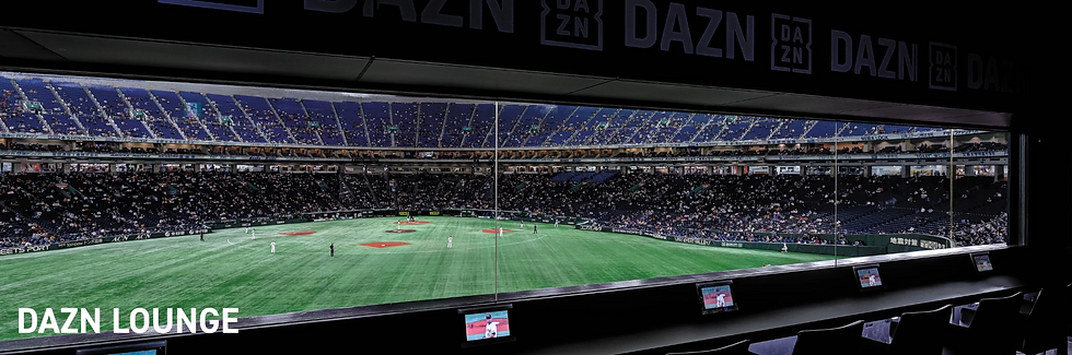 Baseball Game Party Room