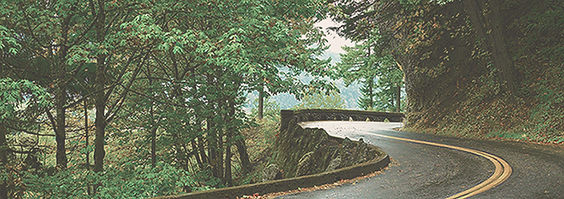 Curving Forest Road_edited.jpg