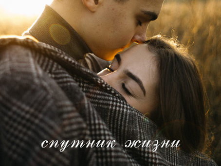 Спутник жизни