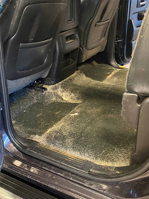 Before_June_1_20221 (1).jpg