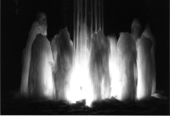 The Witchcraft Coven.