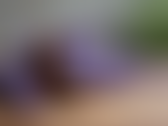 How to Create a Holistic Beauty Routine with Aromatherapy