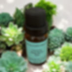 Insomnia Sleep Blend