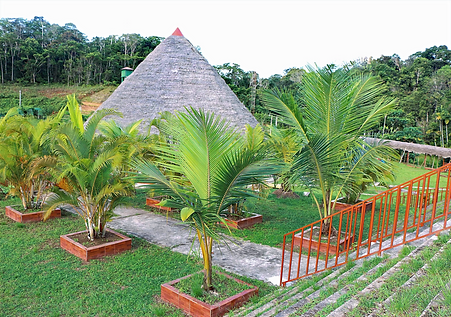 ayahuasca experience at modern ancient sanctuary in Iquitos, Peru