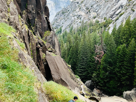 Integrating ABCD Technique in Cognitive Behavioral Therapy: Enhancing Psychological Well-being