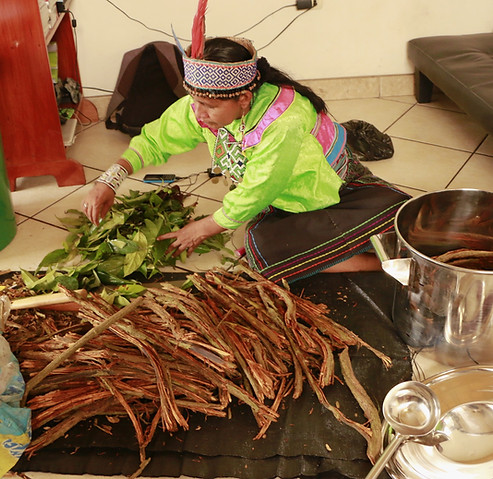 Isabel Pinedo Rengifo Ayahuasca Shamanat Modern Ancient Sanctuary