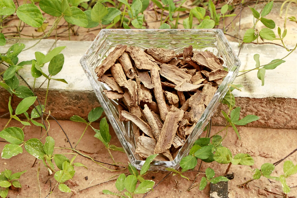 December 18 - December 30, 2024